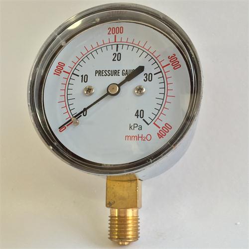 YE60 Capsule Pressure Gauge