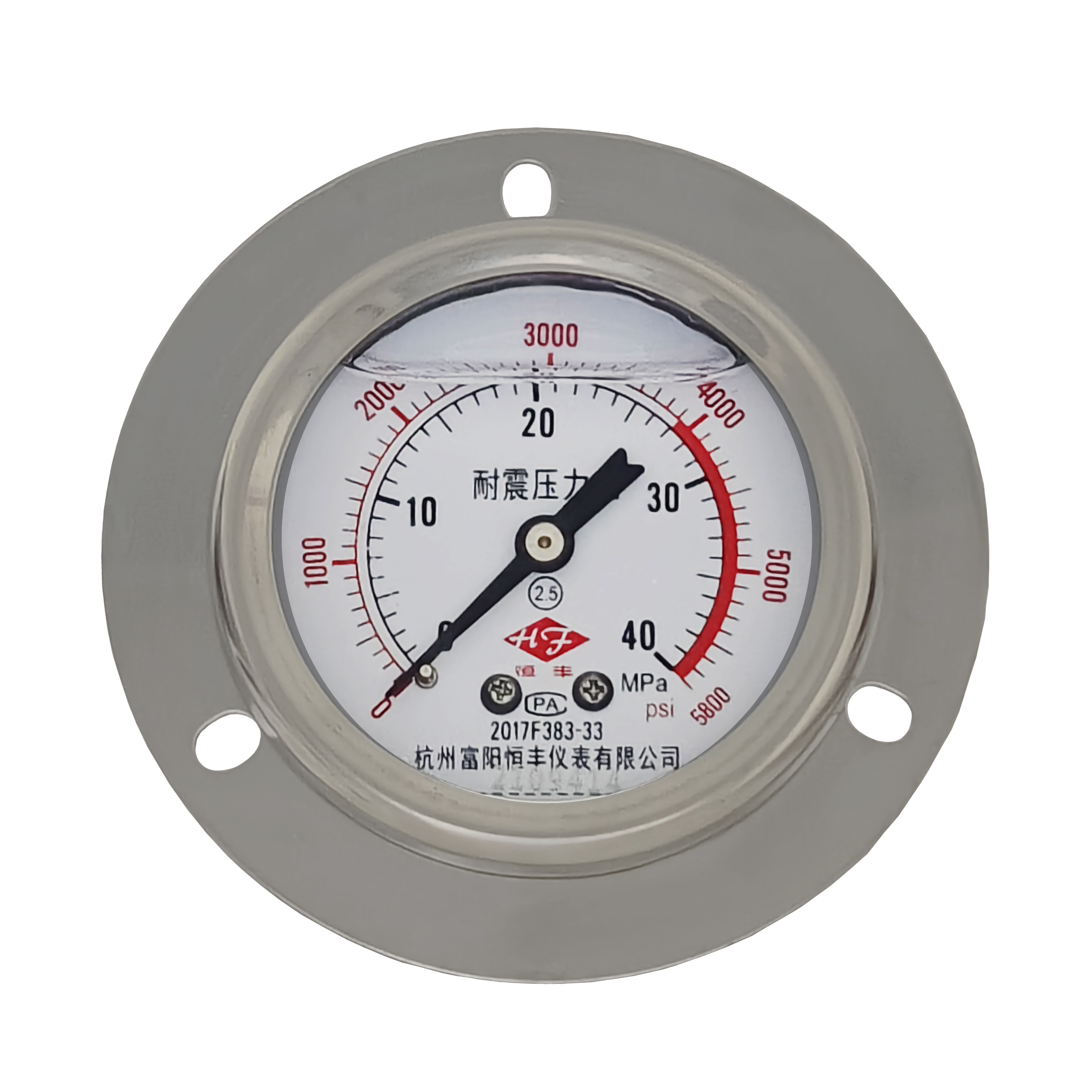 YN60ZT shock-proof pressure gauge