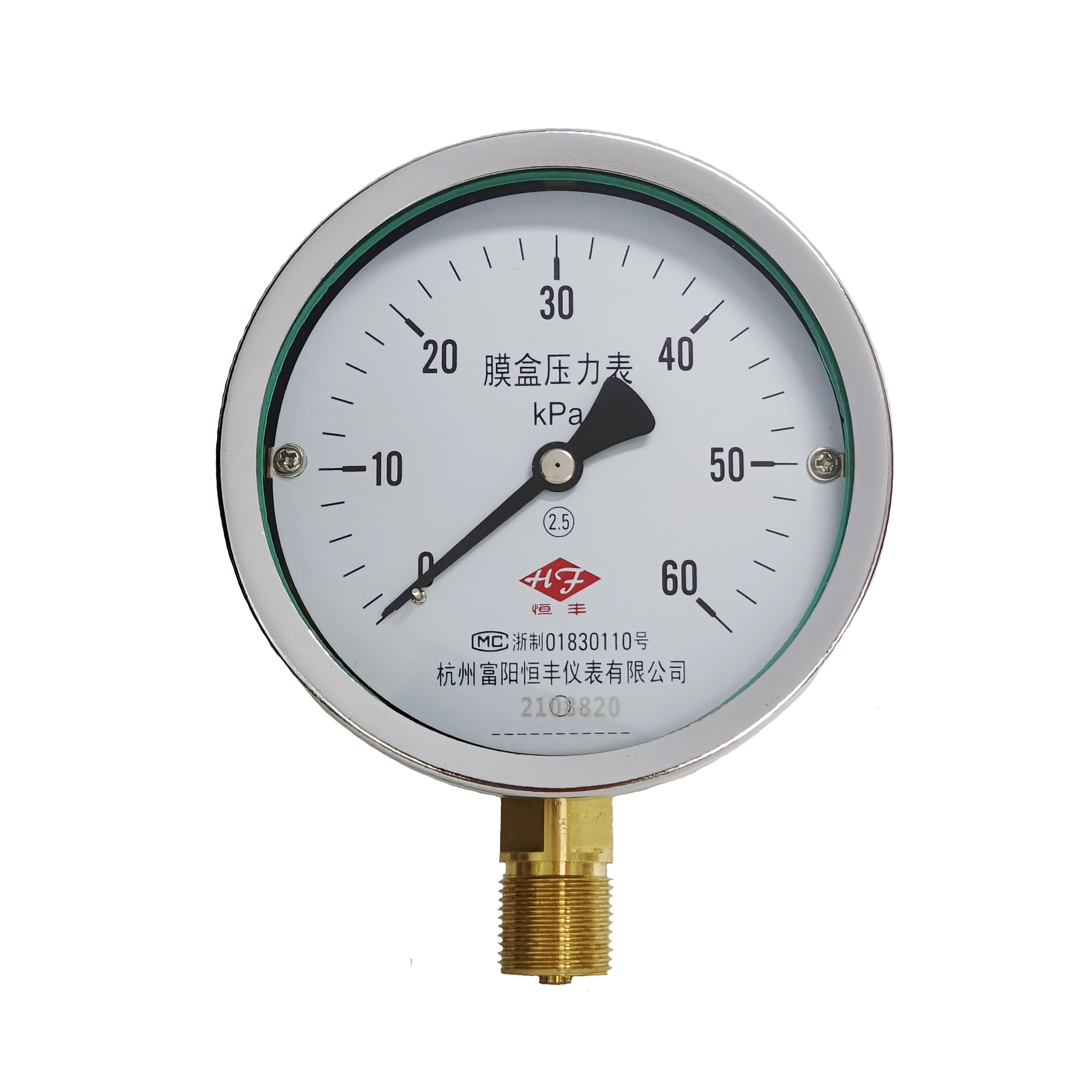 YE100 Capsule Pressure Gauge