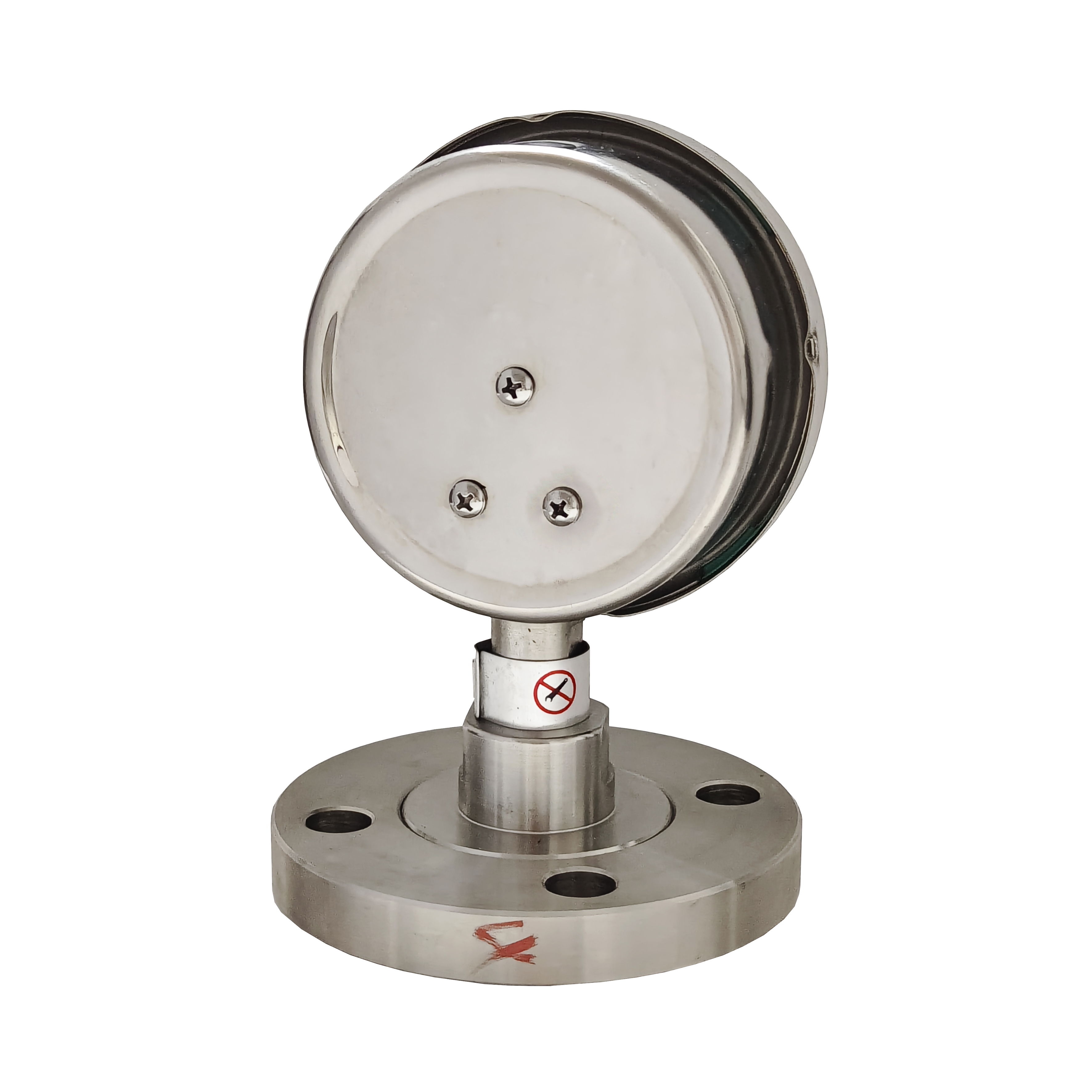 Y100MF Flange Type Diaphragm Pressure Gauge